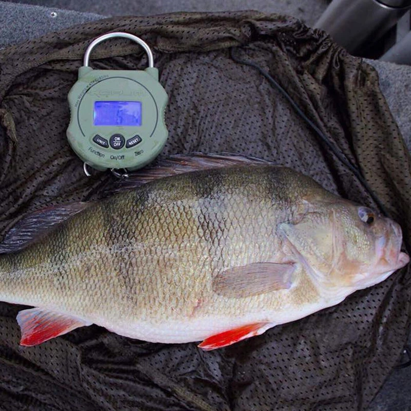 Korum Digital Scales 85lb/40kg